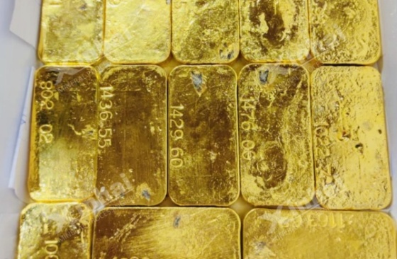 goldcancan.jpg