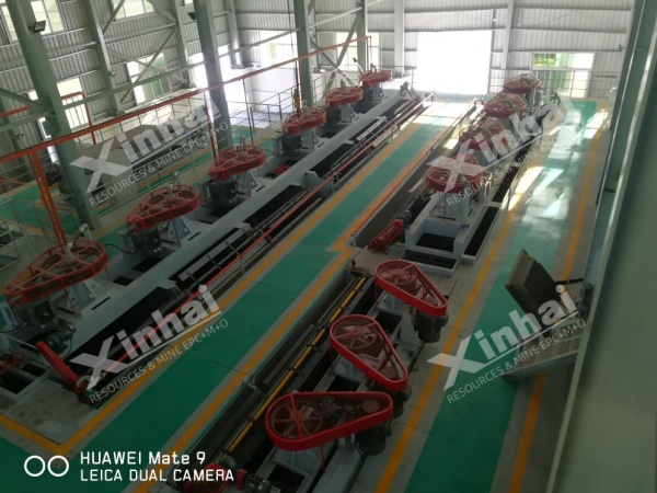 copper-flotation-plant.jpg